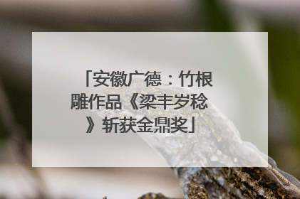 安徽广德：竹根雕作品《梁丰岁稔》斩获金鼎奖