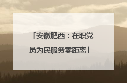 安徽肥西：在职党员为民服务零距离