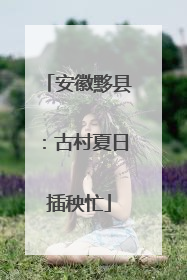 安徽黟县：古村夏日插秧忙
