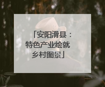 安阳滑县：特色产业绘就乡村图景