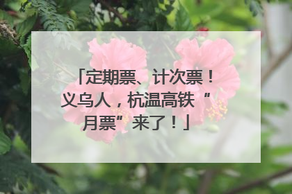 定期票、计次票！义乌人，杭温高铁“月票”来了！