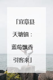 宜章县天塘镇：蓝莓飘香引客来