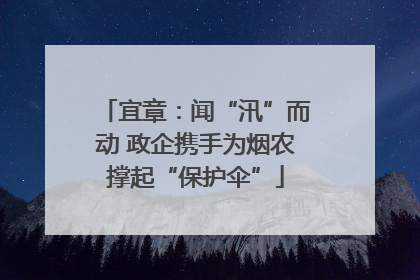 宜章：闻“汛”而动 政企携手为烟农撑起“保护伞”