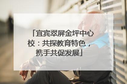宜宾翠屏金坪中心校：共探教育特色，携手共促发展