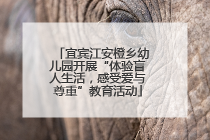 宜宾江安橙乡幼儿园开展“体验盲人生活，感受爱与尊重”教育活动