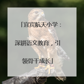 宜宾航天小学：深耕语文教育，引领骨干成长