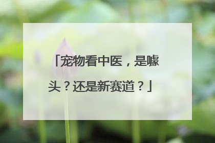 宠物看中医，是噱头？还是新赛道？