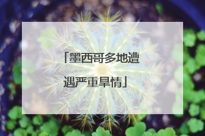 墨西哥多地遭遇严重旱情