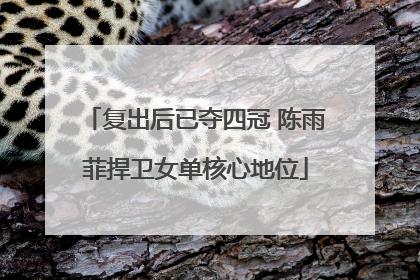 复出后已夺四冠 陈雨菲捍卫女单核心地位