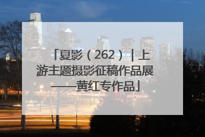夏影（262）｜上游主题摄影征稿作品展——黄红专作品