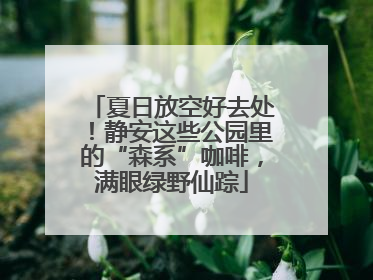 夏日放空好去处！静安这些公园里的“森系”咖啡，满眼绿野仙踪
