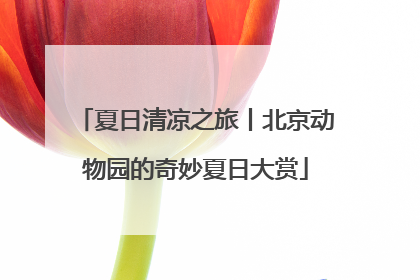 夏日清凉之旅丨北京动物园的奇妙夏日大赏