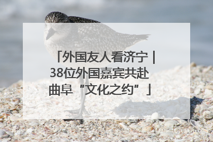 外国友人看济宁｜38位外国嘉宾共赴曲阜“文化之约”