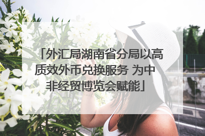 外汇局湖南省分局以高质效外币兑换服务 为中非经贸博览会赋能