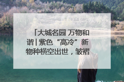 大城名园 万物和谐│紫色“高冷”新物种横空出世，皱褶叶片暗藏进化密码