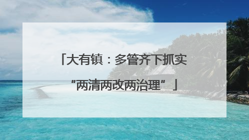 大有镇：多管齐下抓实“两清两改两治理”