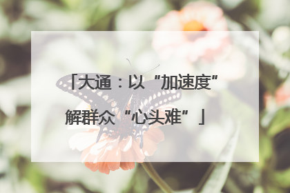大通：以“加速度”解群众“心头难”