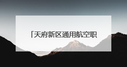 天府新区通用航空职业学院举办双选会