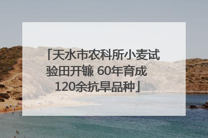 天水市农科所小麦试验田开镰 60年育成120余抗旱品种