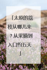 太原的荔枝从哪儿来？从采摘到入口约五天