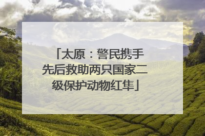 太原：警民携手 先后救助两只国家二级保护动物红隼