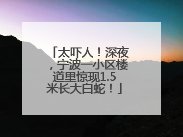 太吓人！深夜，宁波一小区楼道里惊现1.5米长大白蛇！