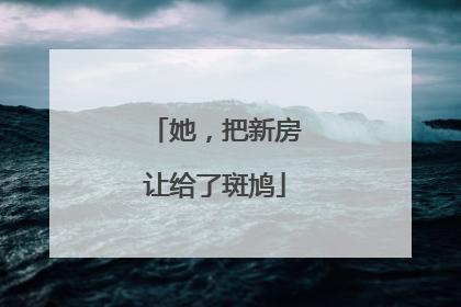 她，把新房让给了斑鸠
