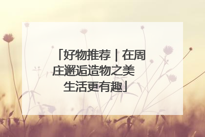 好物推荐｜在周庄邂逅造物之美 生活更有趣