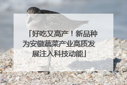 好吃又高产！新品种为安徽蔬菜产业高质发展注入科技动能