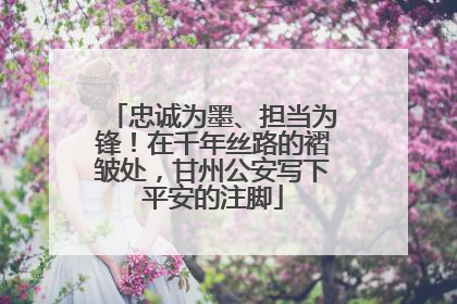 忠诚为墨、担当为锋！在千年丝路的褶皱处，甘州公安写下平安的注脚