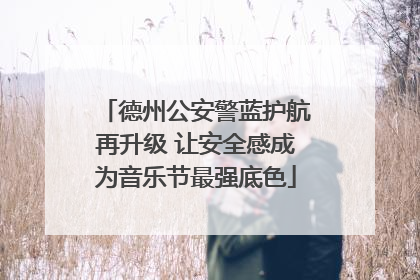 德州公安警蓝护航再升级 让安全感成为音乐节最强底色
