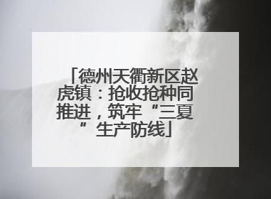 德州天衢新区赵虎镇：抢收抢种同推进，筑牢“三夏”生产防线