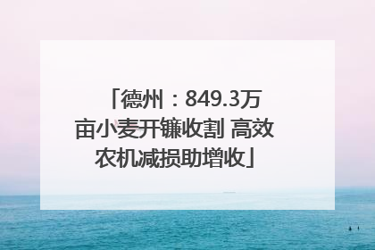 德州：849.3万亩小麦开镰收割 高效农机减损助增收