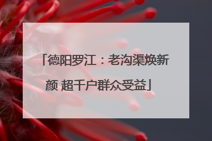 德阳罗江：老沟渠焕新颜 超千户群众受益