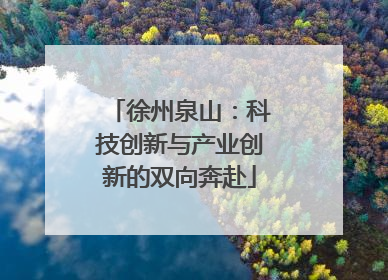 徐州泉山：科技创新与产业创新的双向奔赴