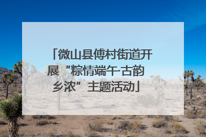 微山县傅村街道开展“粽情端午·古韵乡浓”主题活动