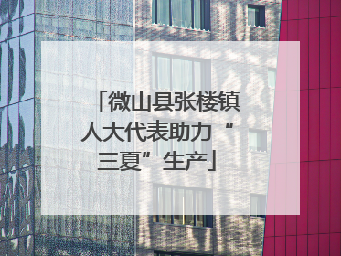微山县张楼镇人大代表助力“三夏”生产