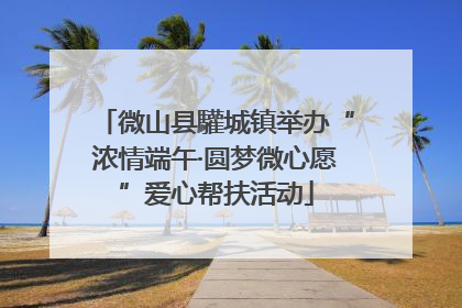 微山县驩城镇举办“浓情端午·圆梦微心愿”爱心帮扶活动