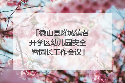 微山县驩城镇召开学区幼儿园安全暨园长工作会议