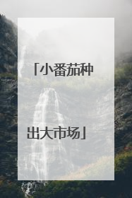 小番茄种出大市场