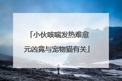 小伙咳喘发热难愈 元凶竟与宠物猫有关