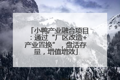 小鸭产业融合项目：通过“厂区改造+产业置换”，盘活存量，增值增效