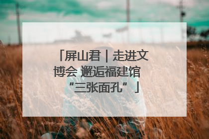 屏山君｜走进文博会 邂逅福建馆“三张面孔”
