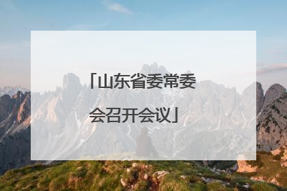 山东省委常委会召开会议