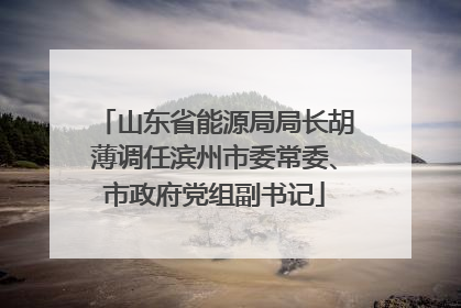 山东省能源局局长胡薄调任滨州市委常委、市政府党组副书记