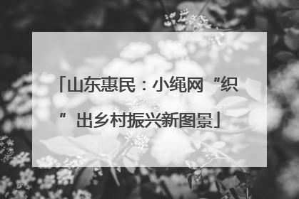 山东惠民：小绳网“织”出乡村振兴新图景