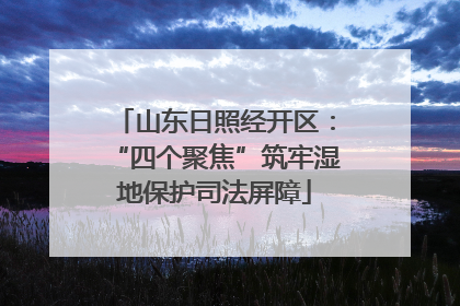 山东日照经开区：“四个聚焦”筑牢湿地保护司法屏障
