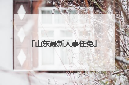 山东最新人事任免