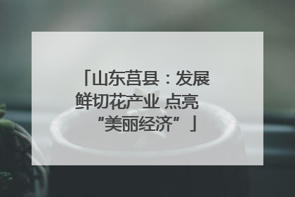 山东莒县：发展鲜切花产业 点亮“美丽经济”