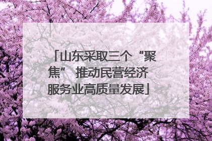 山东采取三个“聚焦” 推动民营经济服务业高质量发展
